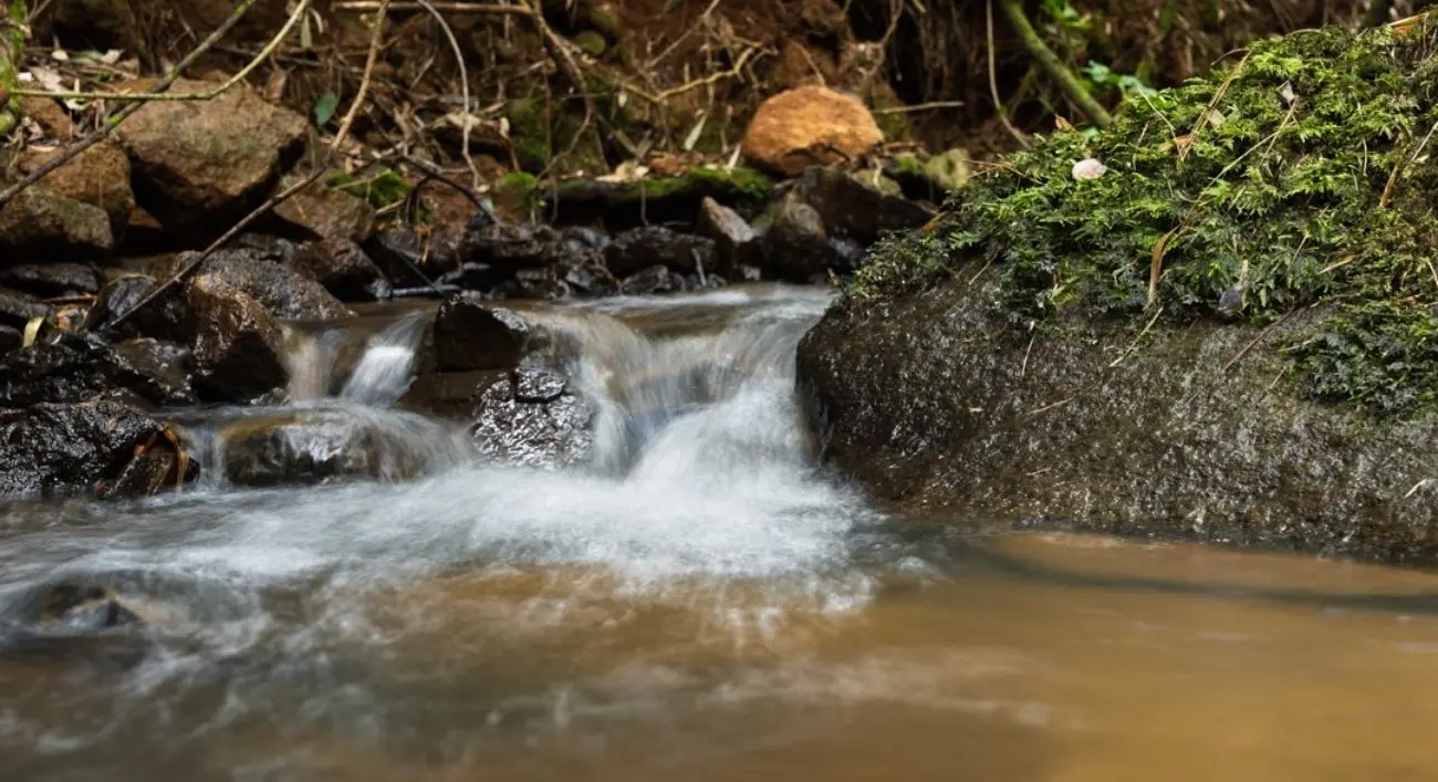 Aclara adelanta renuncia a todos sus derechos de agua: empresa ya no posee derechos hídricos