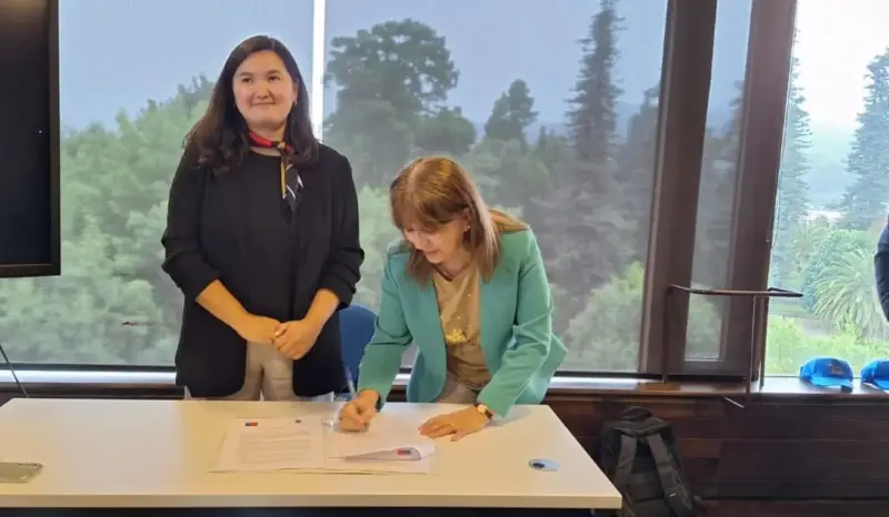 Carbón activado: la vía científica para reconvertir la minería del Biobío