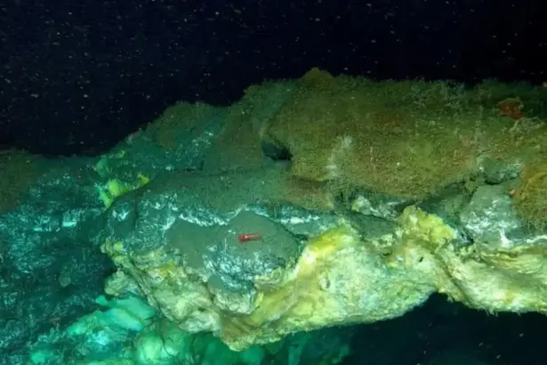 Descubren en el mar de Groenlandia las filtraciones de metano más profundas jamás registradas