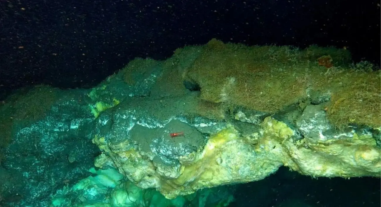 Descubren en el mar de Groenlandia las filtraciones de metano más profundas jamás registradas