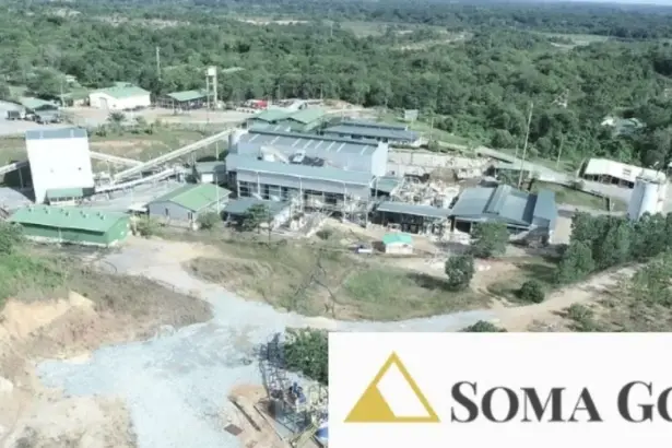 Soma Gold extiende el yacimiento Cordero con nuevas vetas a 250 m al sur de la zona de Atenas