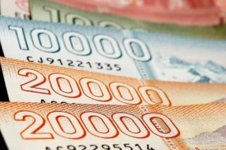 Nuevos bonos previsionales 2026: Aumenta apoyo a pensionados y equidad de género