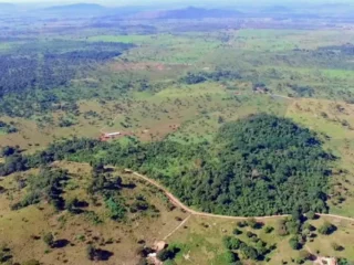 Gold Royalty adquiere royalty de mina Pedra Branca en Brasil por $70 millones Gold Royalty adquiere royalty de mina Pedra Branca en Brasil por $70 millones