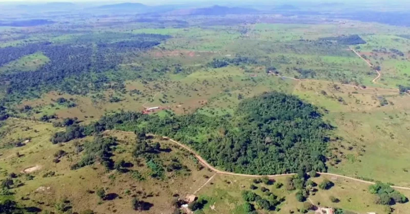 Gold Royalty adquiere royalty de mina Pedra Branca en Brasil por $70 millones