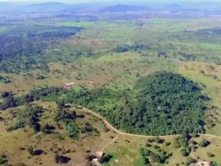 Gold Royalty adquiere royalty clave sobre mina Pedra Branca en Brasil por US$ 70M