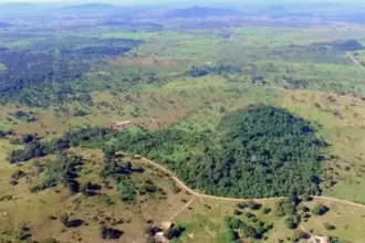 Gold Royalty adquiere royalty clave sobre mina Pedra Branca en Brasil por US$ 70M