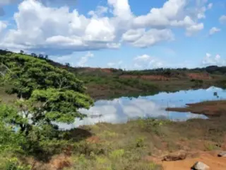 Hallazgo en Guyana: Omai Gold descubre nueva zona de oro de alta ley