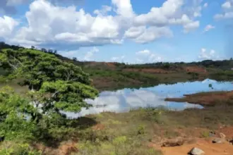 Hallazgo en Guyana: Omai Gold descubre nueva zona de oro de alta ley