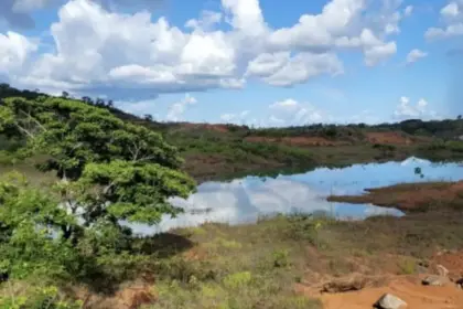 Hallazgo en Guyana: Omai Gold descubre nueva zona de oro de alta ley