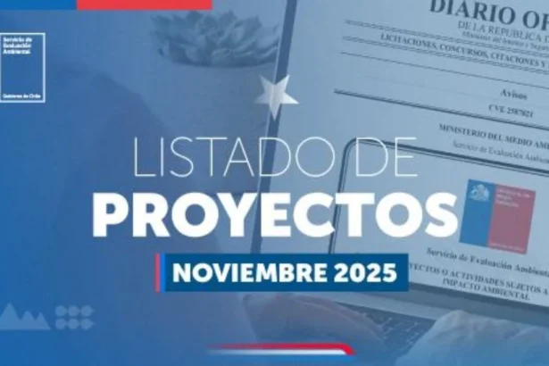 SEA oficializa listado de proyectos de Declaración de Impacto Ambiental de noviembre