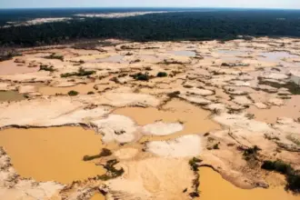 Minería ilegal: Alto comisionado urge reforma legal para frenar ilícito