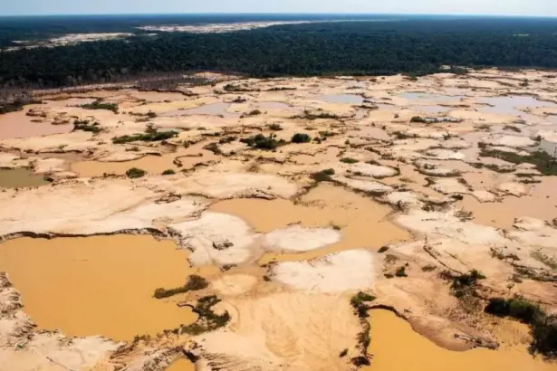 Minería ilegal: Alto comisionado urge reforma legal para frenar ilícito