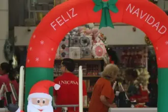 Más de 1.300 empleos temporales disponibles para Navidad en sectores clave Chile