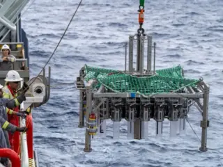 Investigación revela graves daños de la minería submarina a la biodiversidad marina abisal