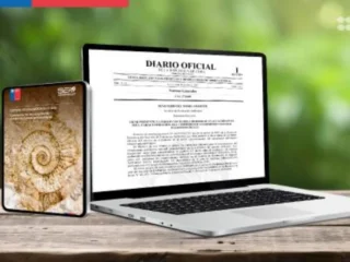 SEA establece nuevo criterio para proteger patrimonio paleontológico en evaluaciones ambientales