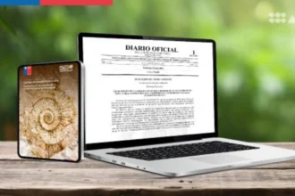 SEA establece nuevo criterio para proteger patrimonio paleontológico en evaluaciones ambientales