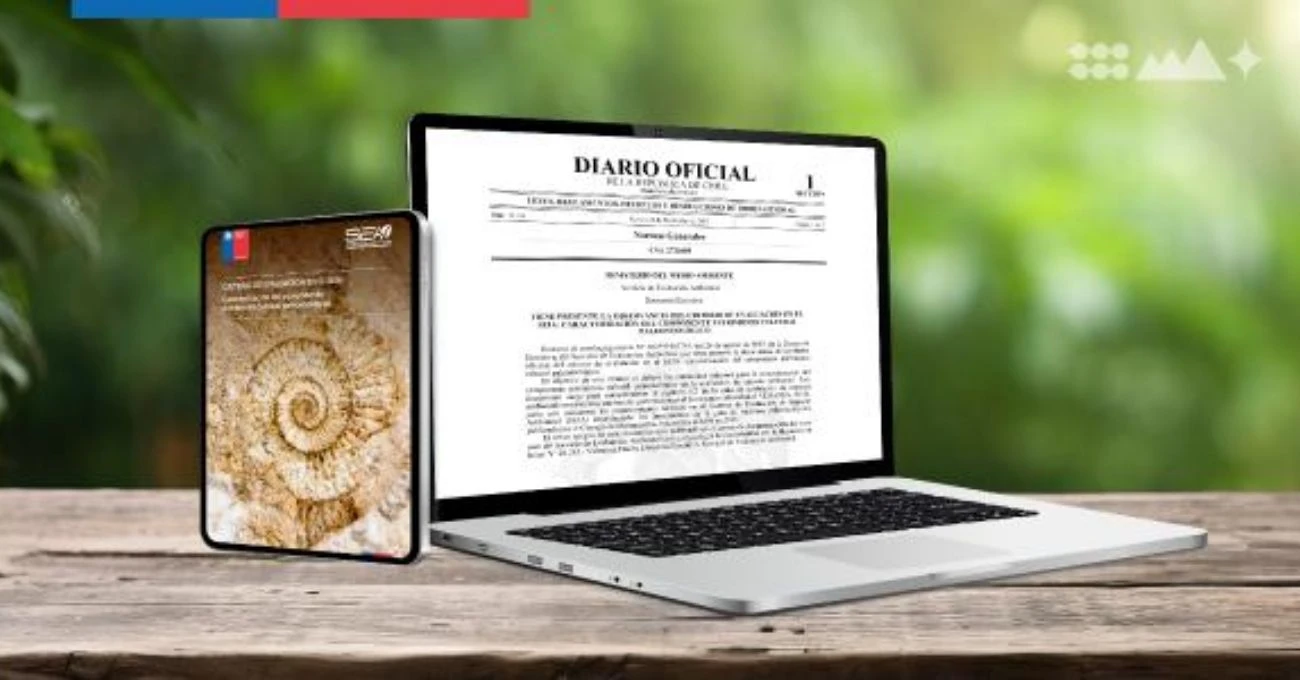 SEA establece nuevo criterio para proteger patrimonio paleontológico en evaluaciones ambientales