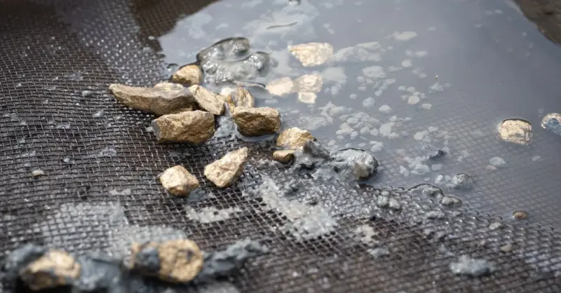 Oro alcanza máximo de siete semanas y la plata marca nuevo récord histórico