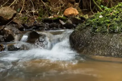 Aclara renuncia a derechos de agua en proyecto de tierras raras