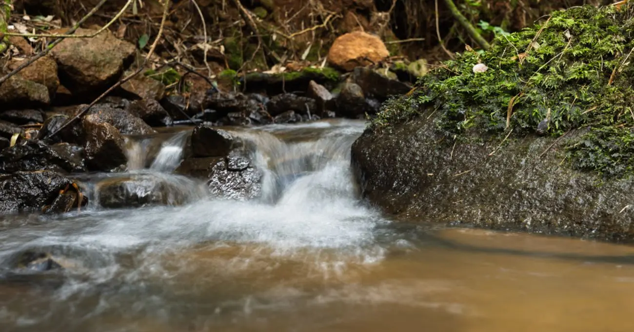 Aclara renuncia a derechos de agua en proyecto de tierras raras Aclara renuncia a derechos de agua en proyecto de tierras raras