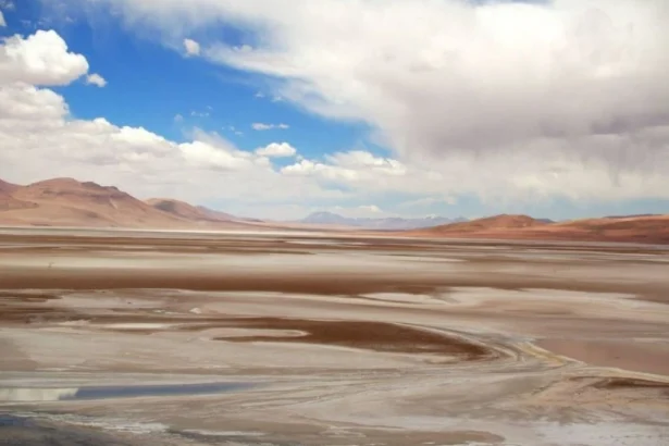 Comunidad Atacameña de Socaire rechaza plan oficial por vulnerar derechos territoriales