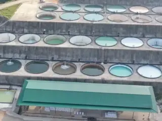 Brazilian Critical Minerals logra avance en tierras raras magnéticas en el proyecto Ema