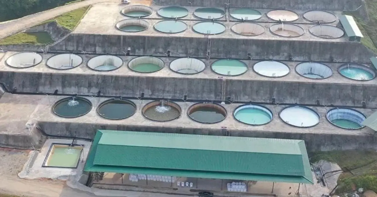 Brazilian Critical Minerals logra avance en tierras raras magnéticas en el proyecto Ema Brazilian Critical Minerals logra avance en tierras raras magnéticas en el proyecto Ema