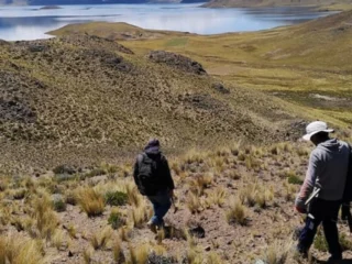 Palamina Corp. expande corredor mineral en proyecto Galena con nuevas anomalías de cobre