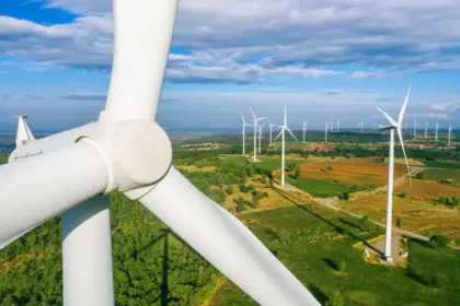 Acuerdo público-privado busca proteger al cóndor y fomentar energía eólica en Chile