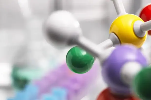 UCN se adjudica fondos ANID para liderar investigaciones internacionales sobre litio y física