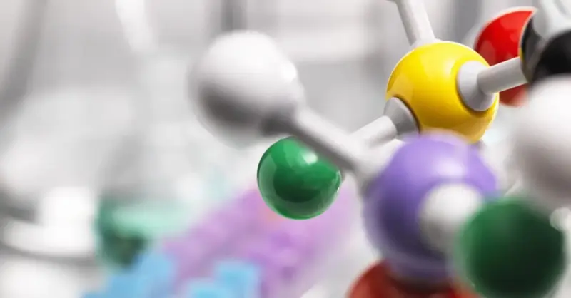 UCN se adjudica fondos ANID para liderar investigaciones internacionales sobre litio y física