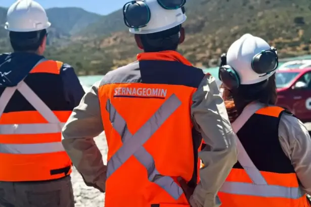 Sernageomin extiende plazo para apelaciones del Curso de Expertos tras ciberataque