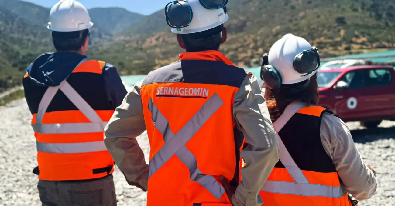 Sernageomin extiende plazo para apelaciones del Curso de Expertos tras ciberataque