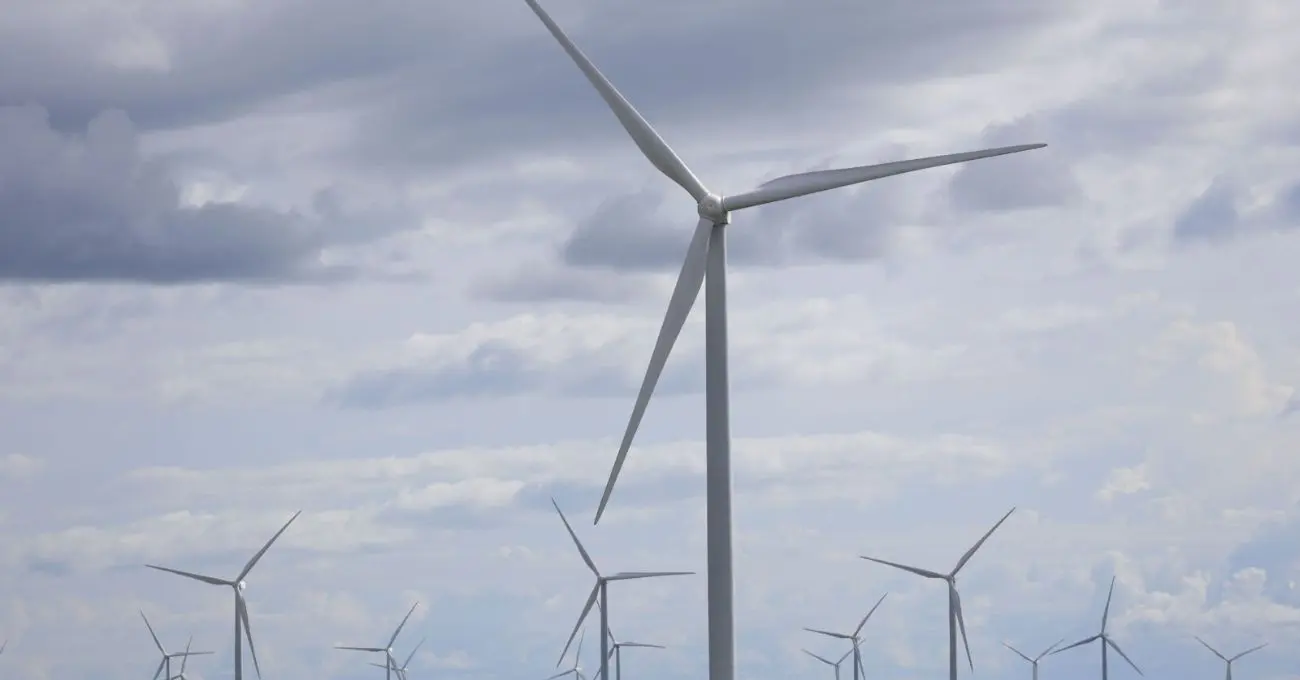 Parque Eólico Trumao: inversión de US$700 millones en energía limpia para Chile