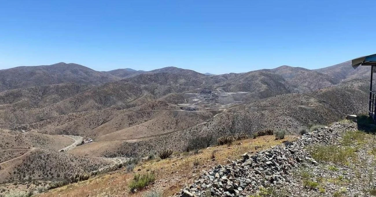 Glencore y Madesal invierten US$3 millones en minería de cobalto en Chile Glencore y Madesal invierten US$3 millones en minería de cobalto en Chile