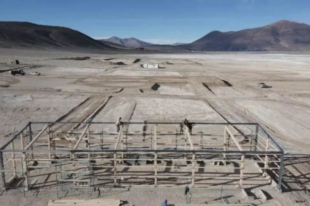 IIMP advierte riesgos de extender Reinfo y pide debate técnico urgente