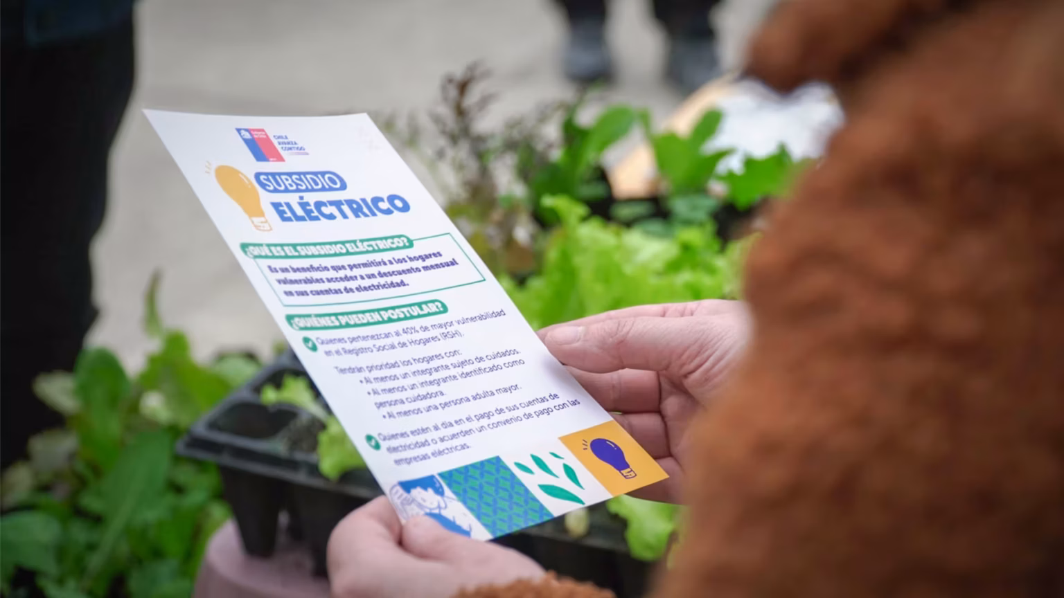 Guía Subsidio Eléctrico: $54.486 de descuento y el “corte” que puede dejarte fuera en 2026