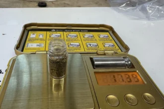 Omineca Mining inicia la recuperación de oro aluvial en Wingdam