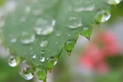 De calor extremo a intensas lluvias: expertos anuncian precipitaciones en 11 regiones de Chile