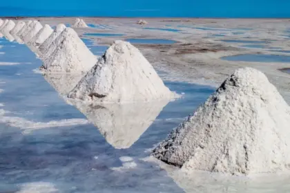 SEA 2025: nuevas exigencias, nuevos desafíos