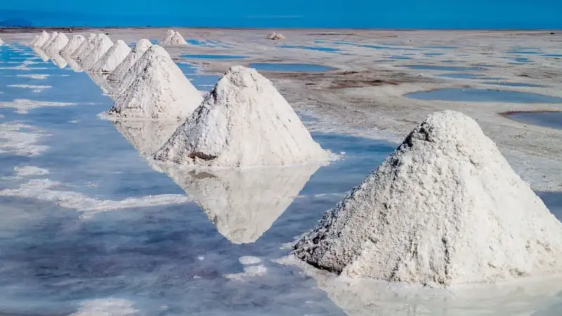 SEA 2025: nuevas exigencias, nuevos desafíos