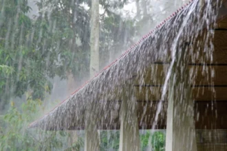Anuncian precipitaciones en localidades de cinco regiones este lunes: Viento de hasta 60 km/h impactará a estas ciudades