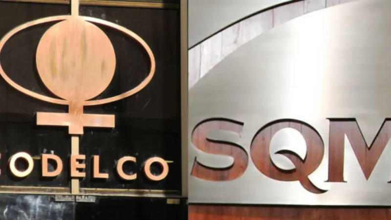 Carta a Dorothy Pérez: voces académicas y sociales piden a Contraloría no tomar razón del acuerdo Codelco–SQM por “interés nacional y patrimonio de Chile”