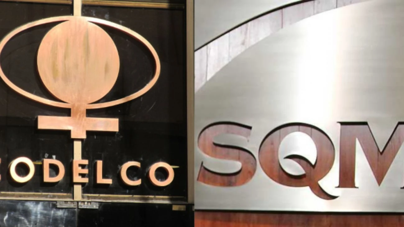 Carta a Dorothy Pérez: voces académicas y sociales piden a Contraloría no tomar razón del acuerdo Codelco–SQM por “interés nacional y patrimonio de Chile”