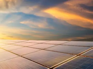 Dos veces verde: experimento en un desierto demostró que los paneles solares pueden restaurar ecosistemas