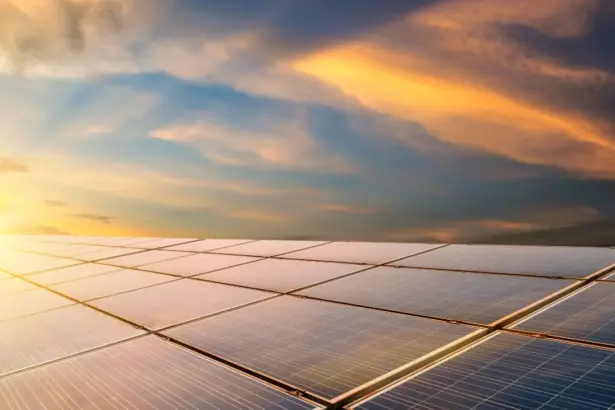 Dos veces verde: experimento en un desierto demostró que los paneles solares pueden restaurar ecosistemas