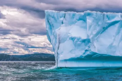 Investigan la Antártida y encuentran 300 estructuras submarinas de hasta 4.000 metros de profundidad