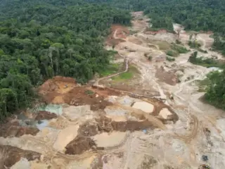 Por qué la minería ilegal del oro está desplazando a la cocaína como favorita de los traficantes en América Latina