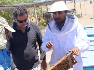 Fundación Collahuasi y Seremi de Agricultura entregan colmenas para fomentar la apicultura en el Tamarugal