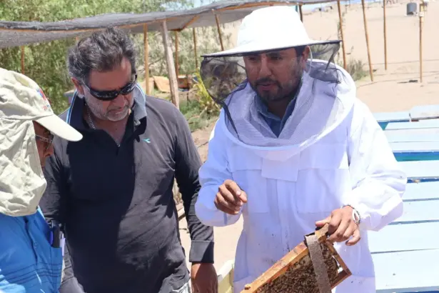 Fundación Collahuasi y Seremi de Agricultura entregan colmenas para fomentar la apicultura en el Tamarugal